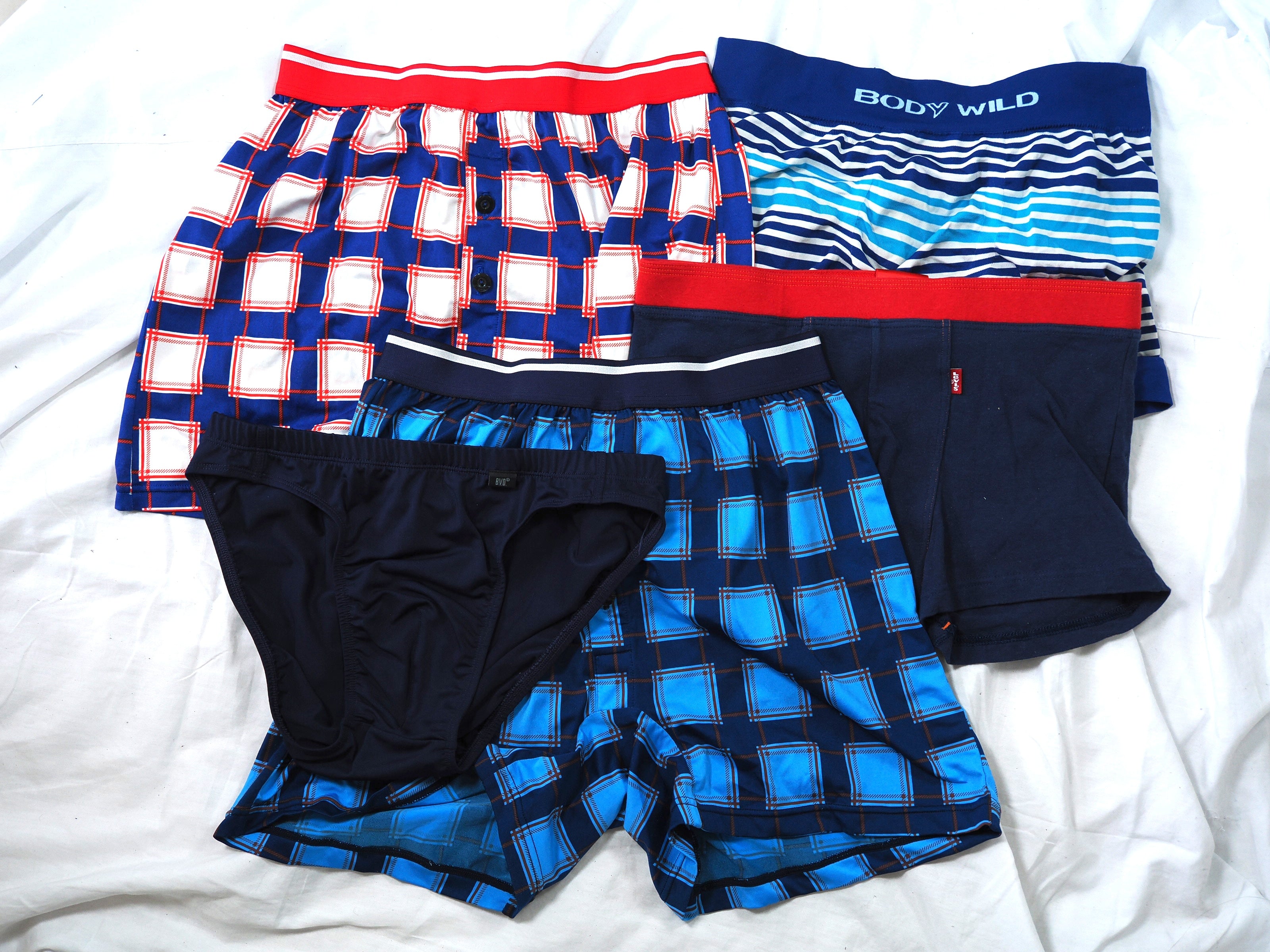 BROS BVDビキニ等　メンズインナー　サイズL 5着セット