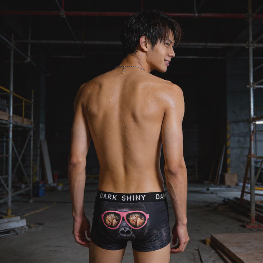 DARK SHINY　ボクサーパンツ　サイズL